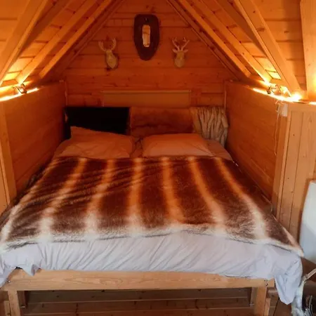 Kota Finlandais Bien Etre , Les De L'etang