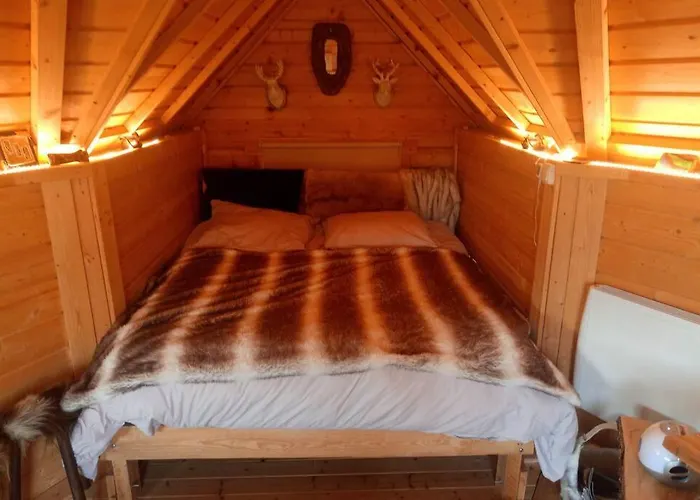 Kota Finlandais Bien Etre , Les De L'etang