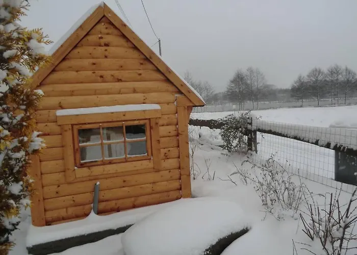 Kota Finlandais Bien Etre , Les De L'etang * La Chapelle (Lorraine)