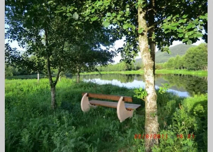 Kota Finlandais Bien Etre , Les De L'etang